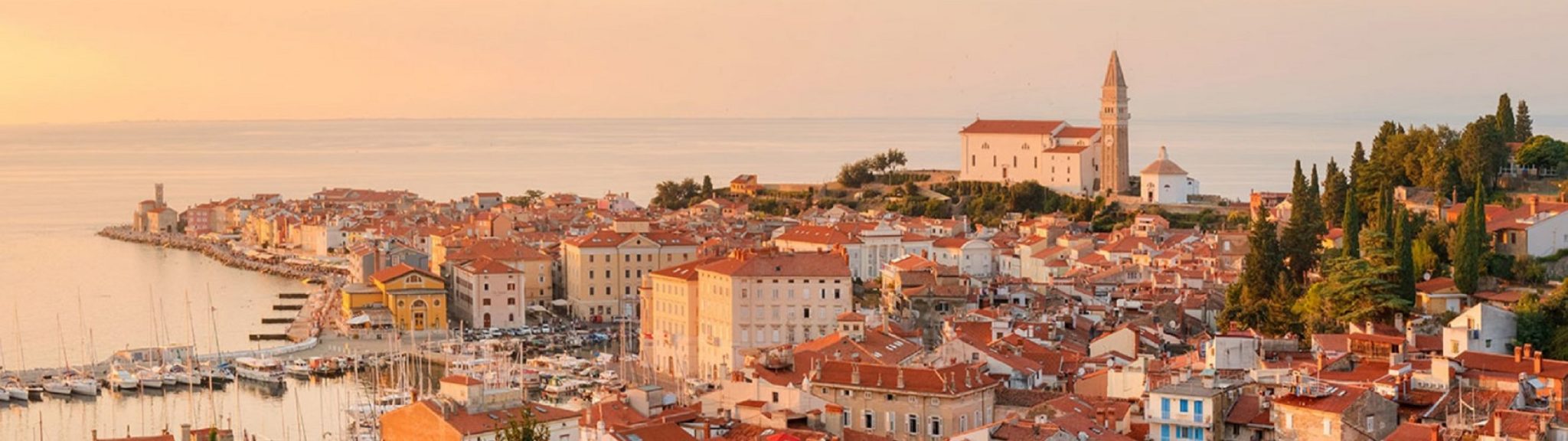 Apartments in Piran